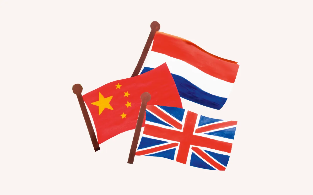 Cardboard Flags - Pack of 24